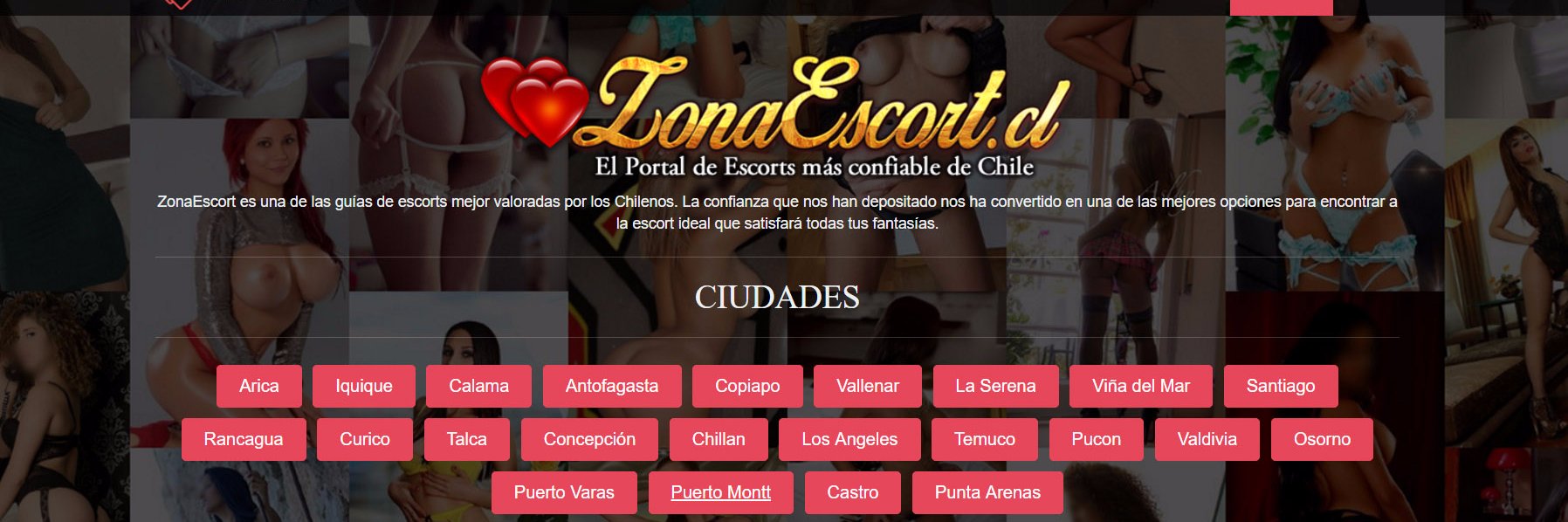 zonaescortcl's profile banner image