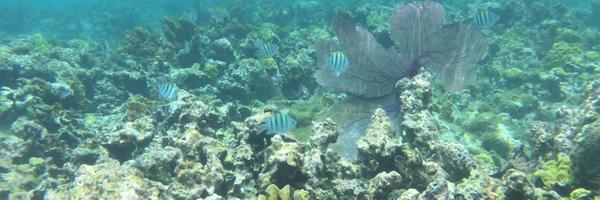 MissTaylorSP Profile Banner