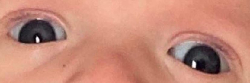 melecevida's profile banner image