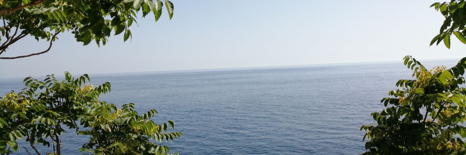 Dalmiss's profile banner image