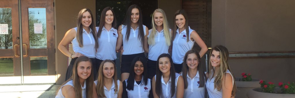 dmhsgolf1718's profile banner image