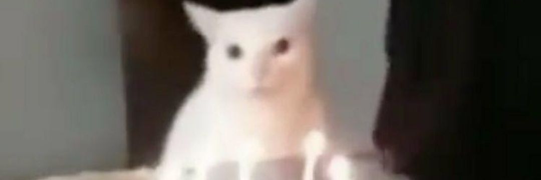 Gato_No_Copo's profile banner image