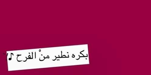 ShaimaaMustaf10's profile banner image