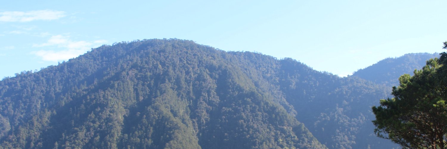 MAPANCE's profile banner image