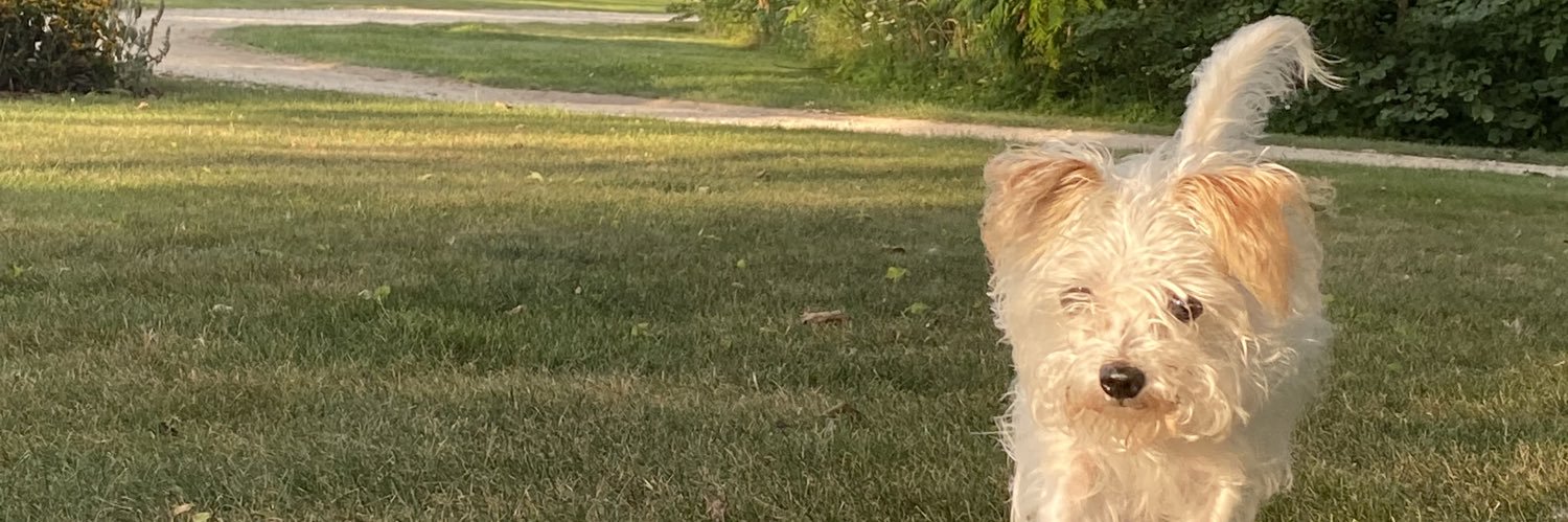 haiIeyolson's profile banner image