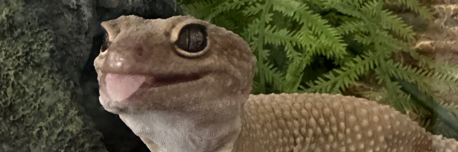 sononvenus's profile banner image