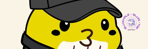 SSubedi5's profile banner image