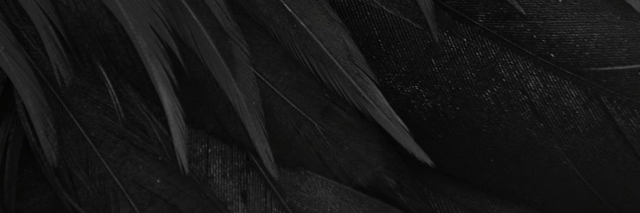 noseyroseee's profile banner image