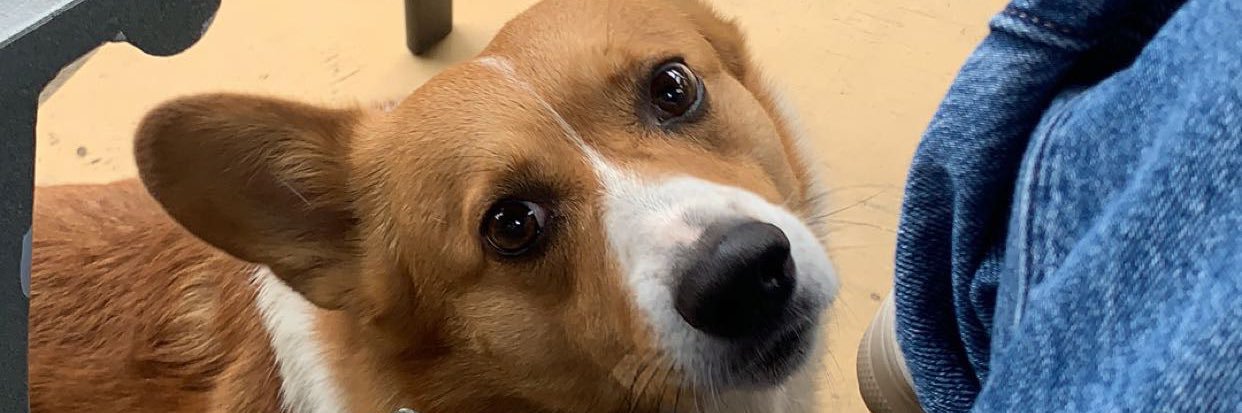yummilex's profile banner image