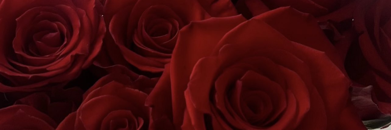 Julieekv's profile banner image