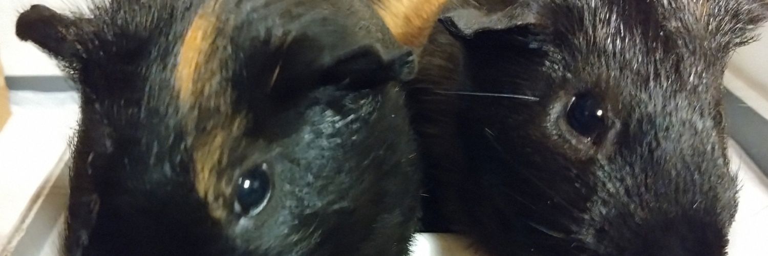 chupichumaffso's profile banner image