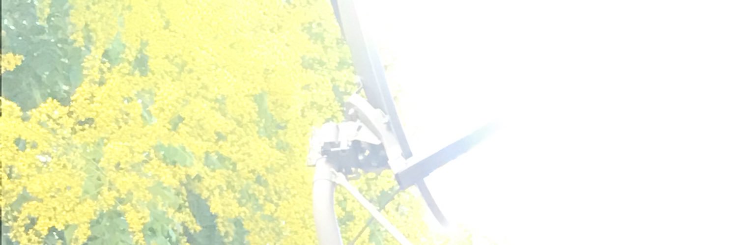 buh_ruce's profile banner image