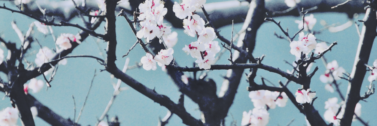 kthmail's profile banner image