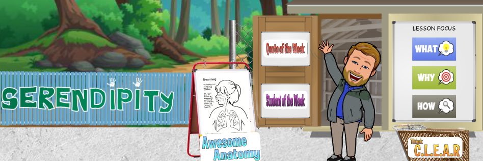 William Potter banner