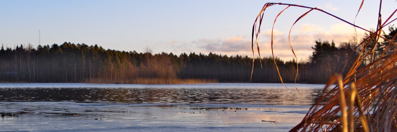 cityofvarkaus's profile banner image