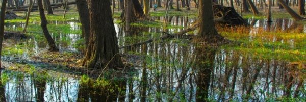 robotevigila Profile Banner