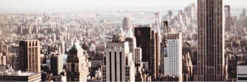 CourageousSwan's profile banner image