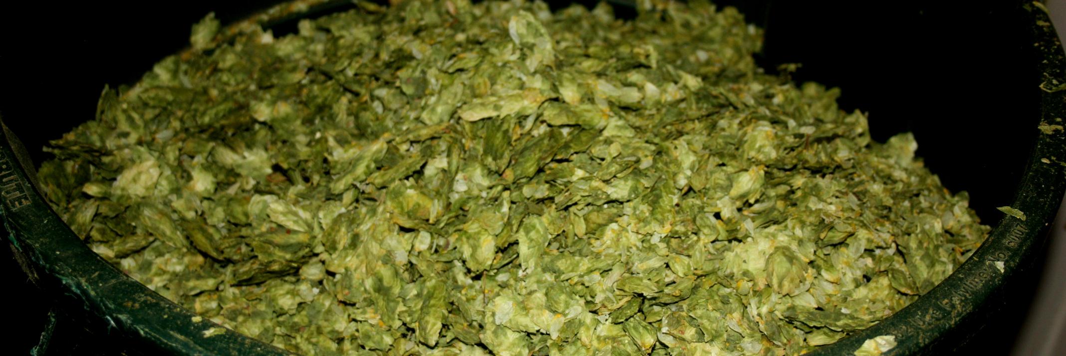 Maraakelsbier's profile banner image