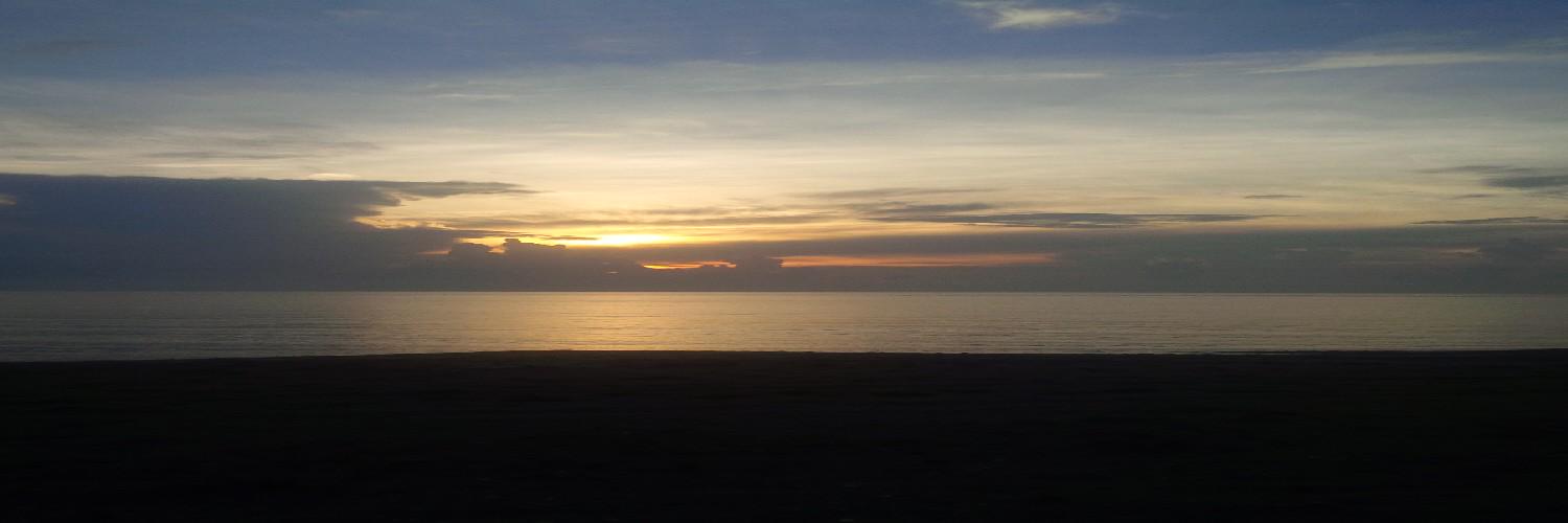 laurafromfl's profile banner image