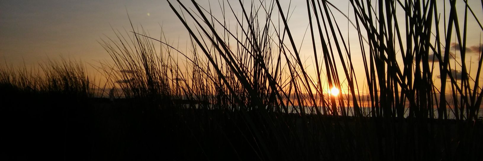 Schaaaatz's profile banner image