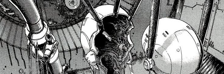 Berceuse Heroique banner