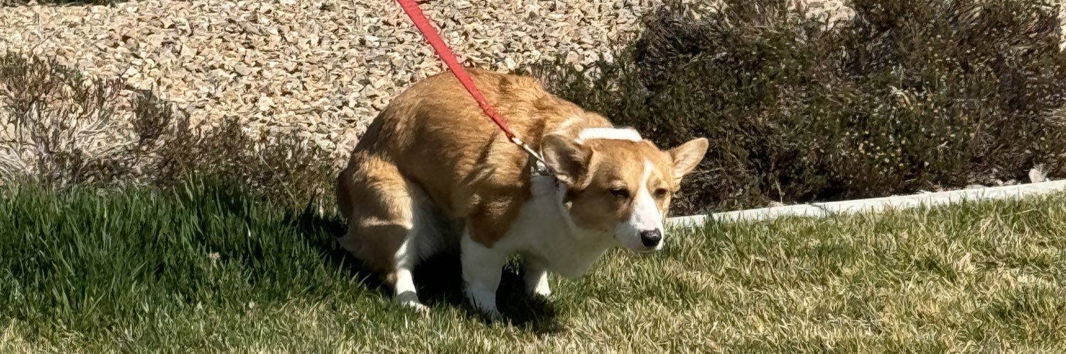 curtjared_'s profile banner image