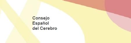 Consejo del Cerebro's banner