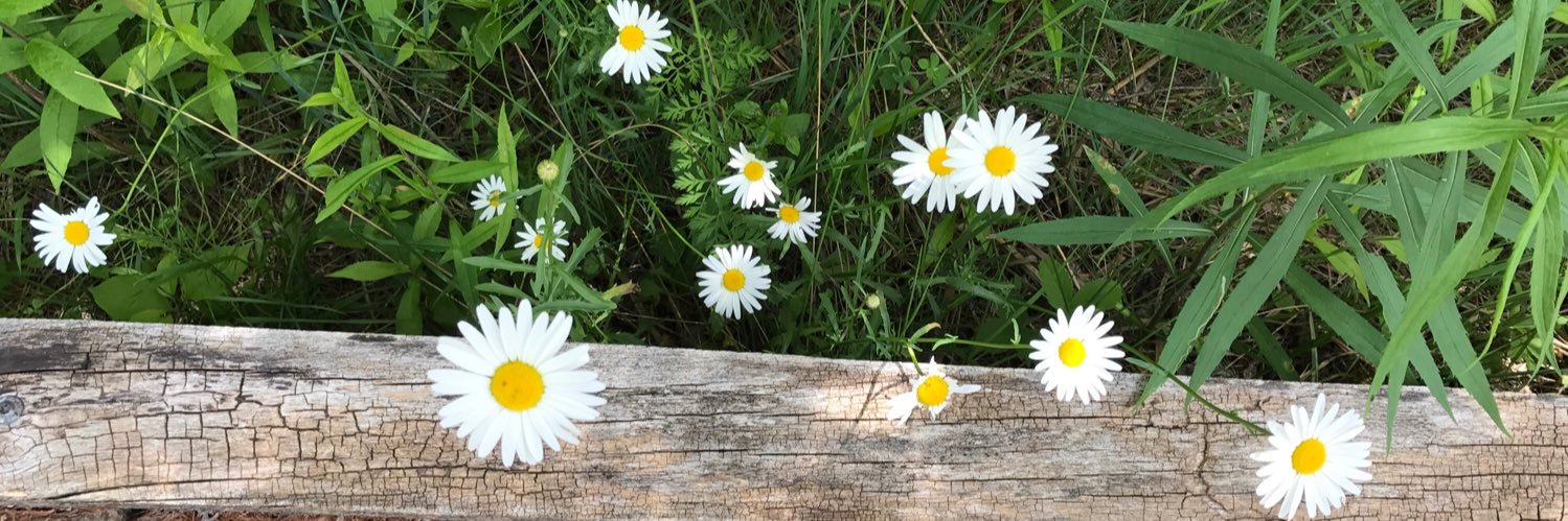 Jennifer Jones banner