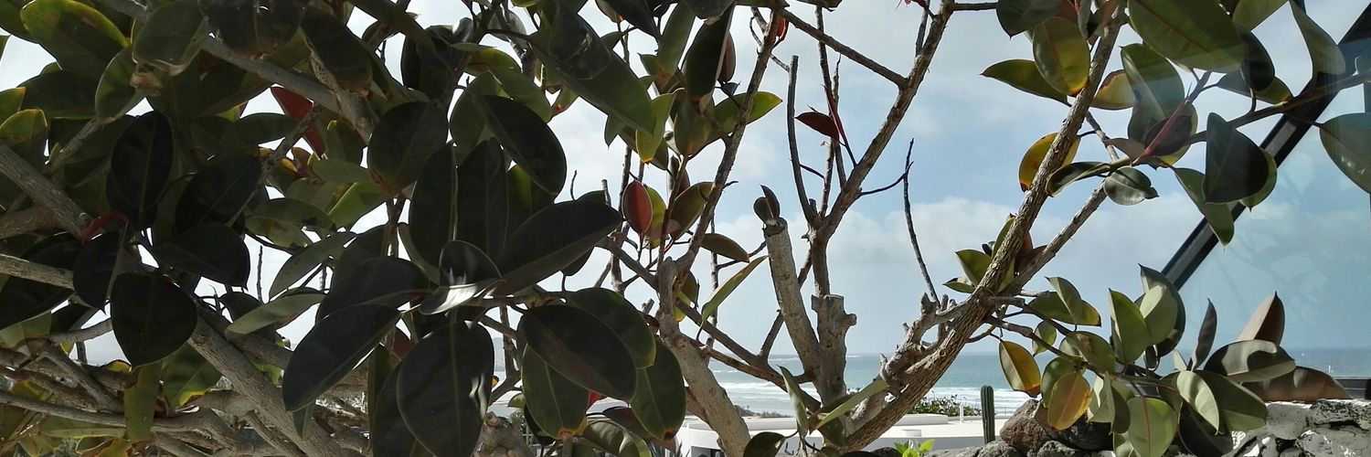 Ana Maria González L banner