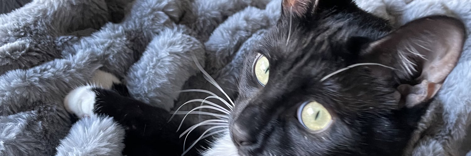 Wubbena5's profile banner image