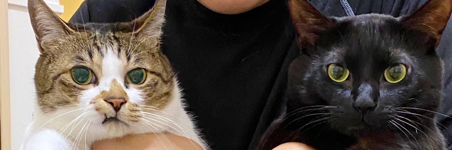 aguuuua's profile banner image