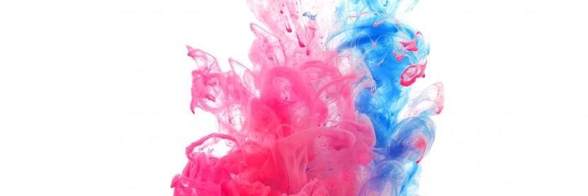 Monselucii's profile banner image