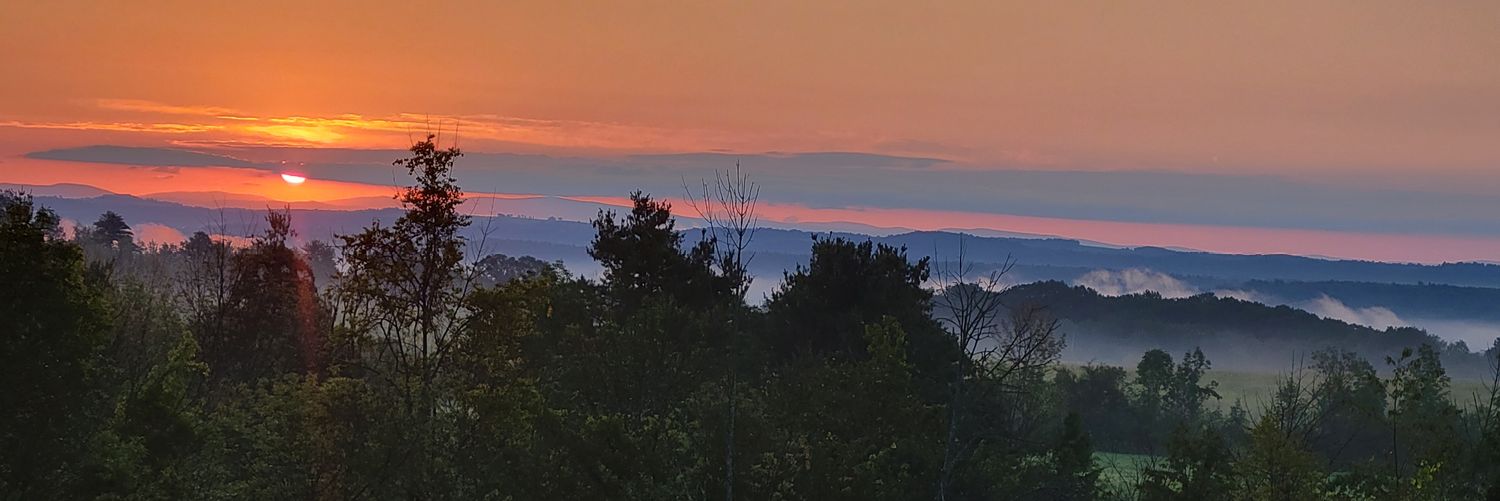 WillEB75211's profile banner image