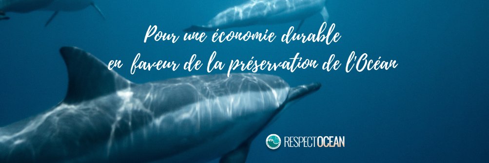 RespectOcean 🌊 banner