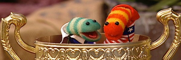 stupid passing banner