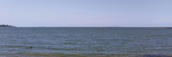 LadyWhoLaughs Profile Banner