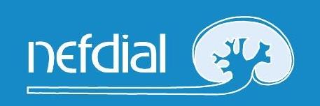 nefdial's profile banner image