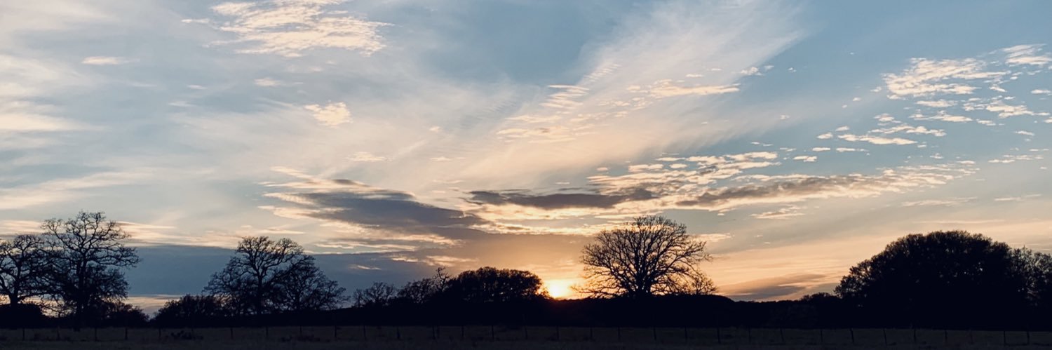 hailey_oneill's profile banner image