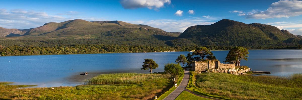 SheOCallaghan's profile banner image