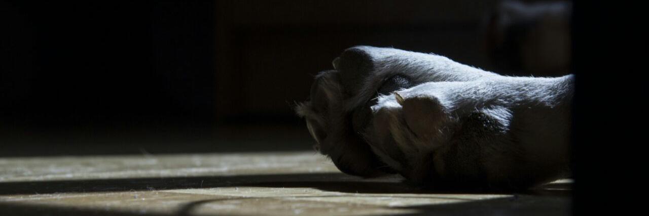 YeiKh 🏴‍☠️🔻🇪🇸 banner