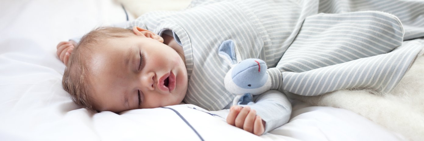 Merino Kids banner