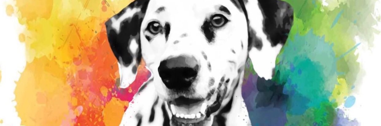 alyssswright's profile banner image