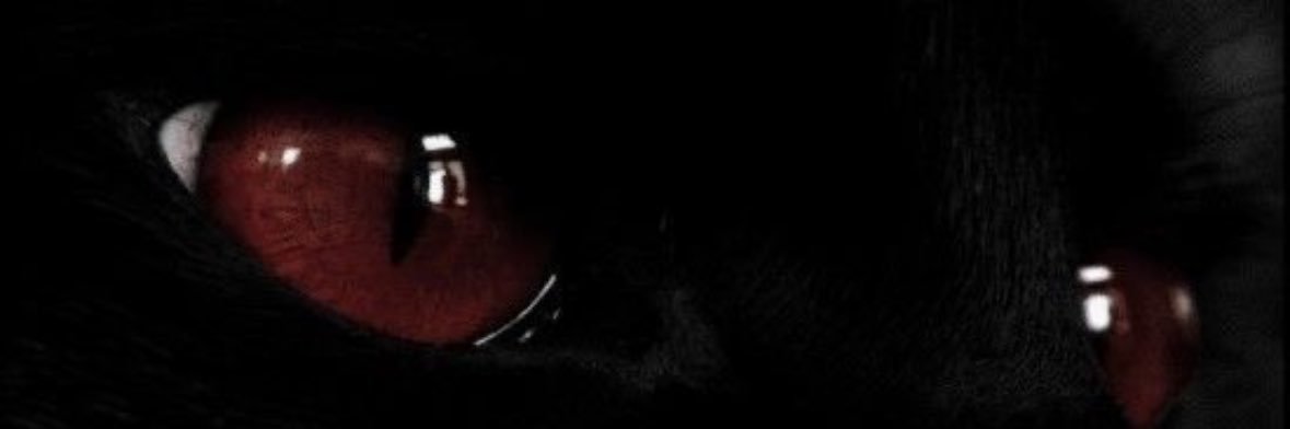scaredofwhat's profile banner image