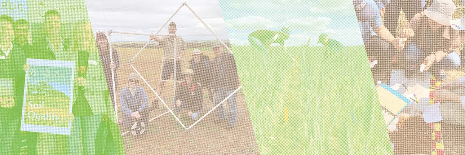 SoilsWest's profile banner image