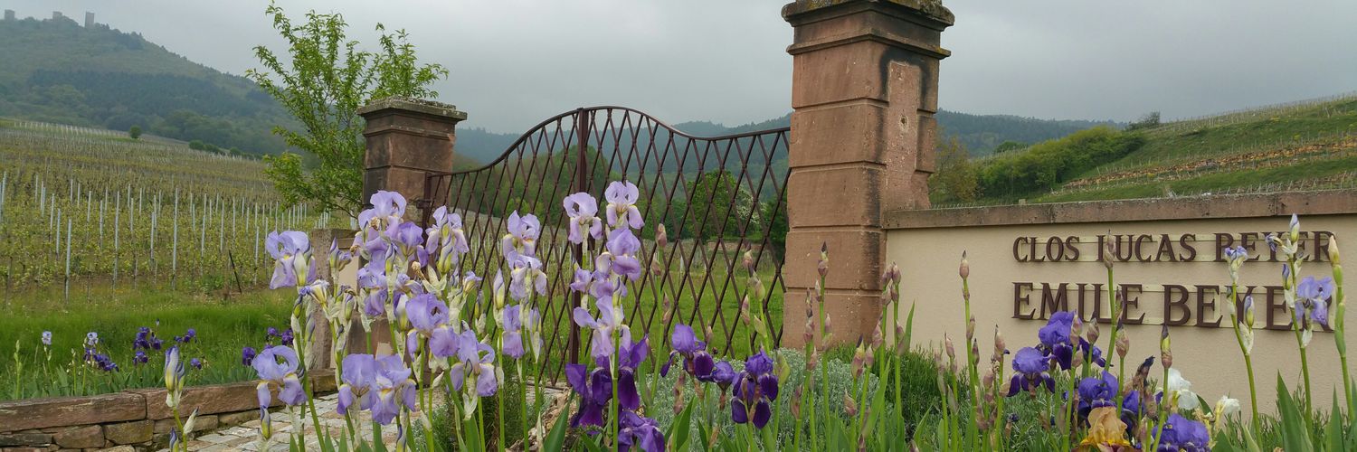 Domaine Emile Beyer banner