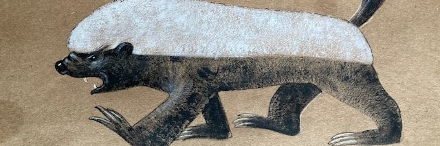 polliwog44's profile banner image