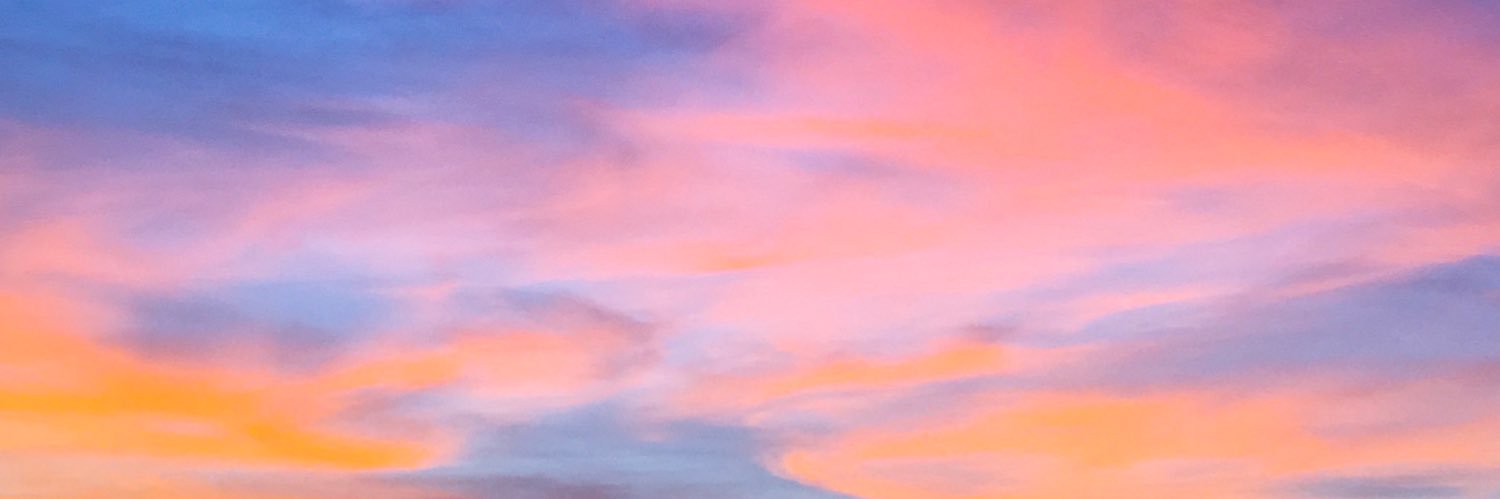 CecileSLP's profile banner image