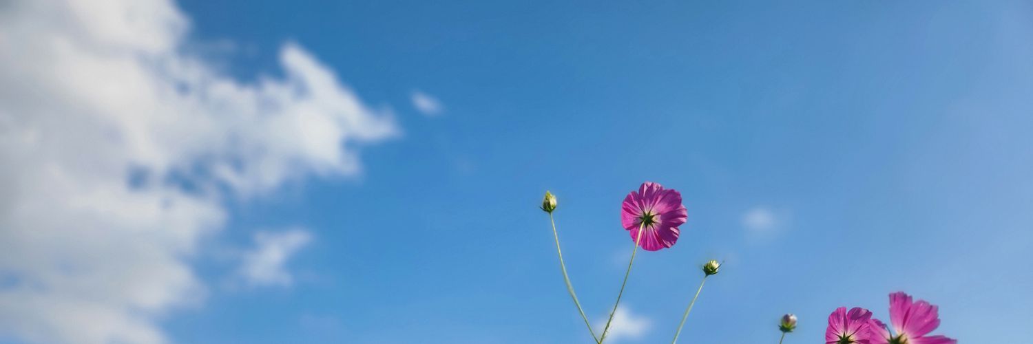 u__1016's profile banner image