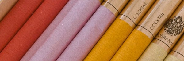eceylanoglu Profile Banner