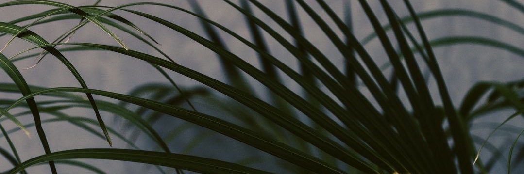 _librabaee_'s profile banner image